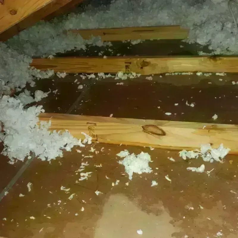 Attic Water Damage in Clark County, WI