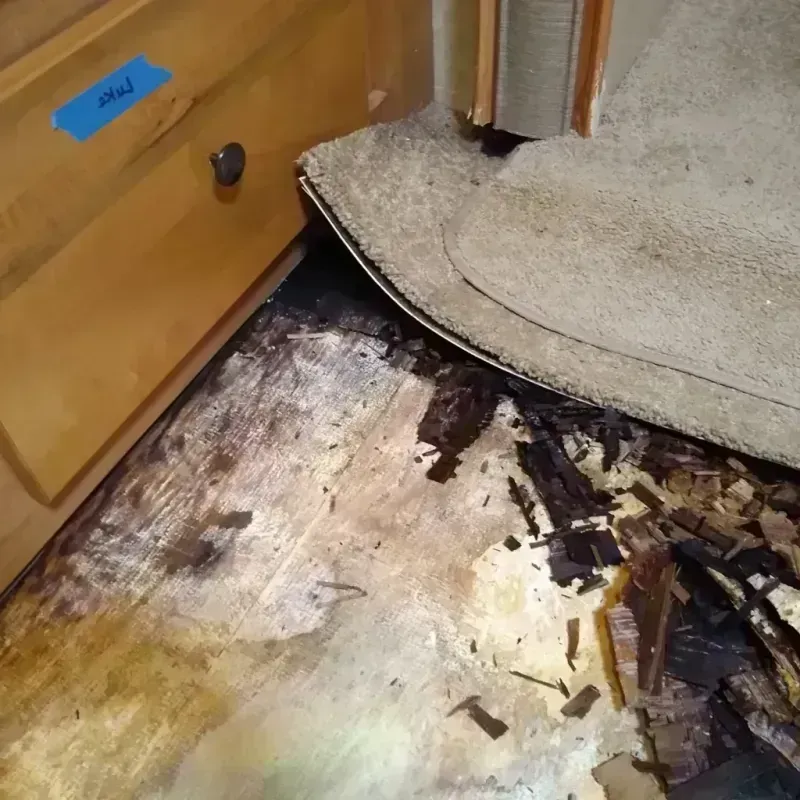 Wood Floor Water Damage in Clark County, WI